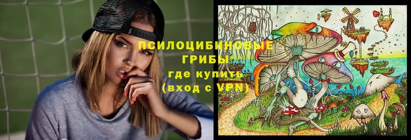 Псилоцибиновые грибы мицелий  Злынка 